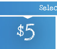 $5 Dollar Ties