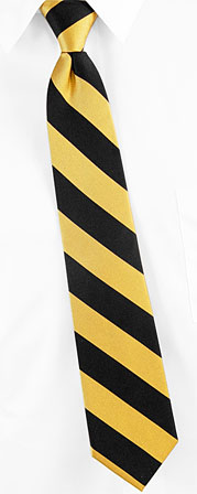 Black & Gold 17inch Zipper Tie by Umo Lorenzo -  Black Polyester