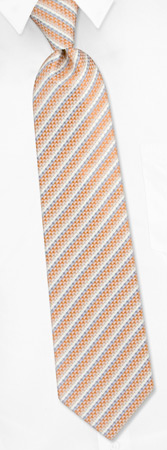 Peacock Stripe Tie by Jacob Alexander -  Tan/taupe Polyester