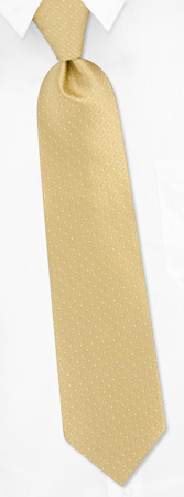 DuPage Dots Tie by Jacob Alexander -  Gold Polyester
