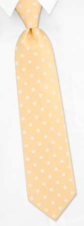 Petaluma Polkadot Tie by Jacob Alexander -  Yellow Polyester