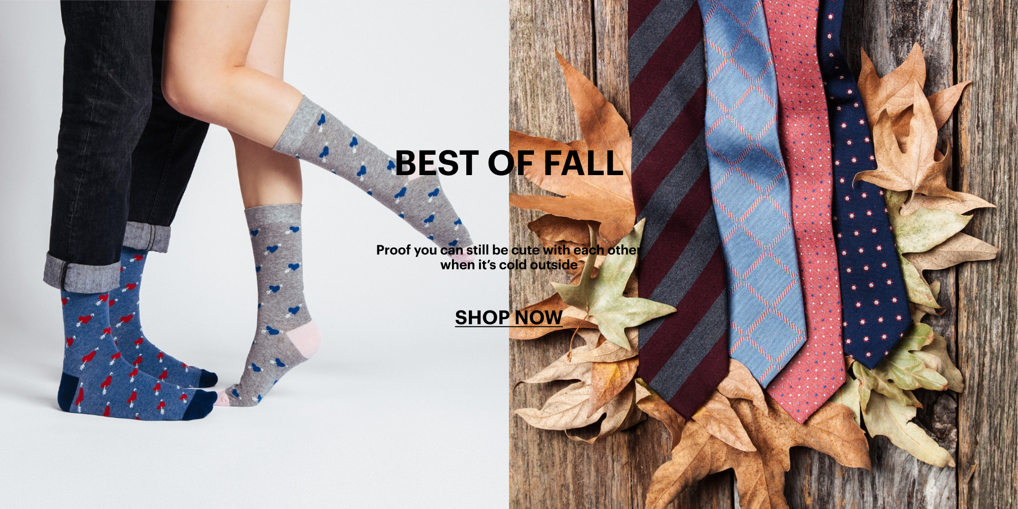 TIES | FALL | 20% OFF